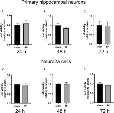 1,800 MHz Radiofrequency Electromagnetic Irradiation Impairs Neurite Outgrowth With a Decrease in Rap1-GTP in Primary Mouse Hippocampal Neurons and Neuro2a Cells